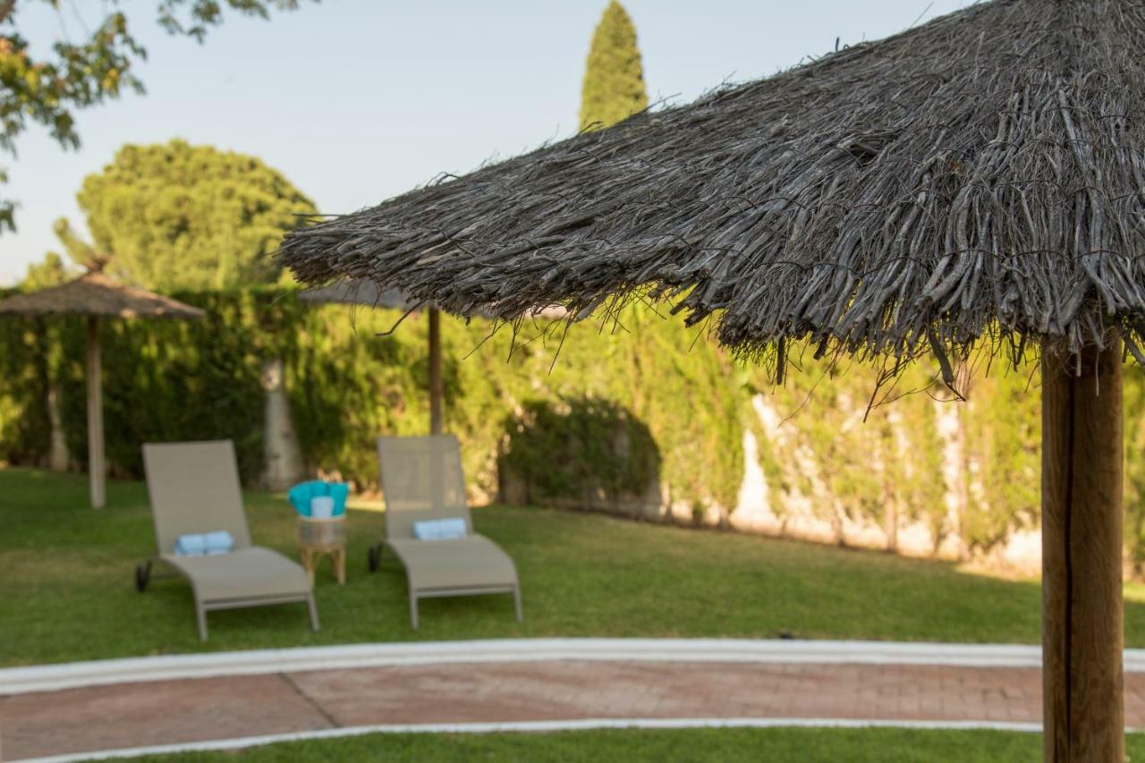Thegood Brillante Piscina Y Parking Incluido Lejlighed Córdoba Eksteriør billede